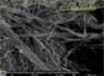 SEM-beeldamositeit asbest in injectie asbest | © CRB Analyse Service GmbH