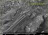 SEM-beeldamositeit asbest in Promabestos | © CRB Analyse Service GmbH